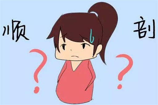 顺还是剖？别纠结了，来看看你就知道~